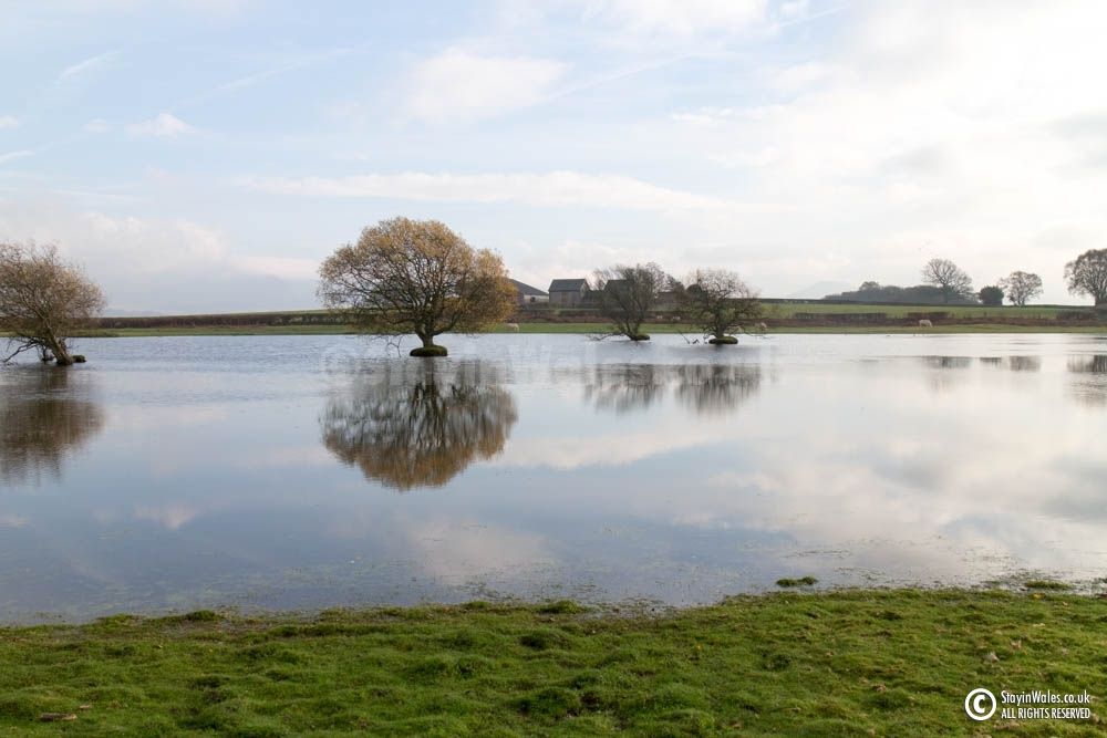 Brechfa Pool Nature Reserve